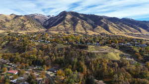 View of mountain background