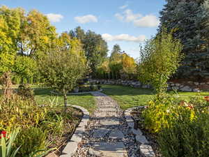 View of property's community with a yard