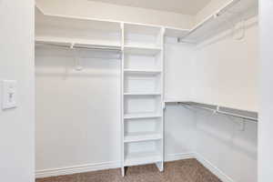 Walk in closet featuring light carpet