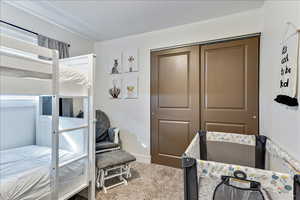 Carpeted bedroom with a closet