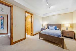 Bedroom with carpet flooring, a raised ceiling, and rail lighting