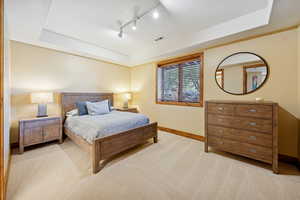 Bedroom featuring a raised ceiling and light carpet