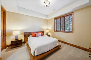 Bedroom featuring a tray ceiling and carpet