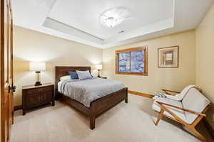 Bedroom with a tray ceiling and light colored carpet