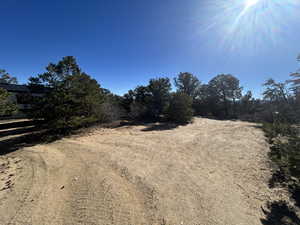 View of dirt / gravel road