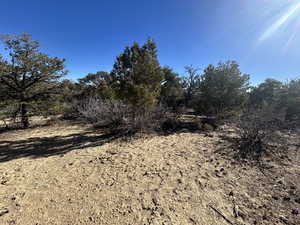 View of undeveloped land