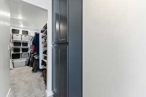 Walk in closet featuring light carpet