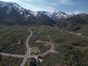View of mountain background with a heavily wooded area - approximate lot lines shown
