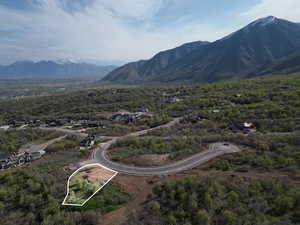 View of mountain backdrop - approximate lot lines shown