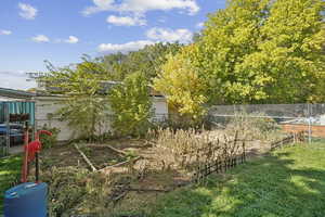 View of yard featuring a vegetable garden
