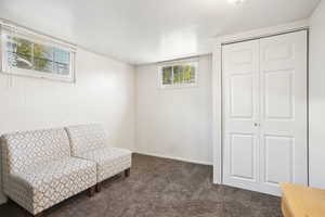 Living area with dark colored carpet and baseboards