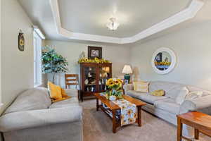 Living area featuring a tray ceiling, wood finished floors, and crown molding
