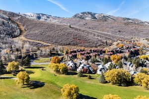 Aerial view of residential area with a mountainous background