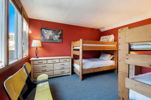 Bedroom with dark carpet