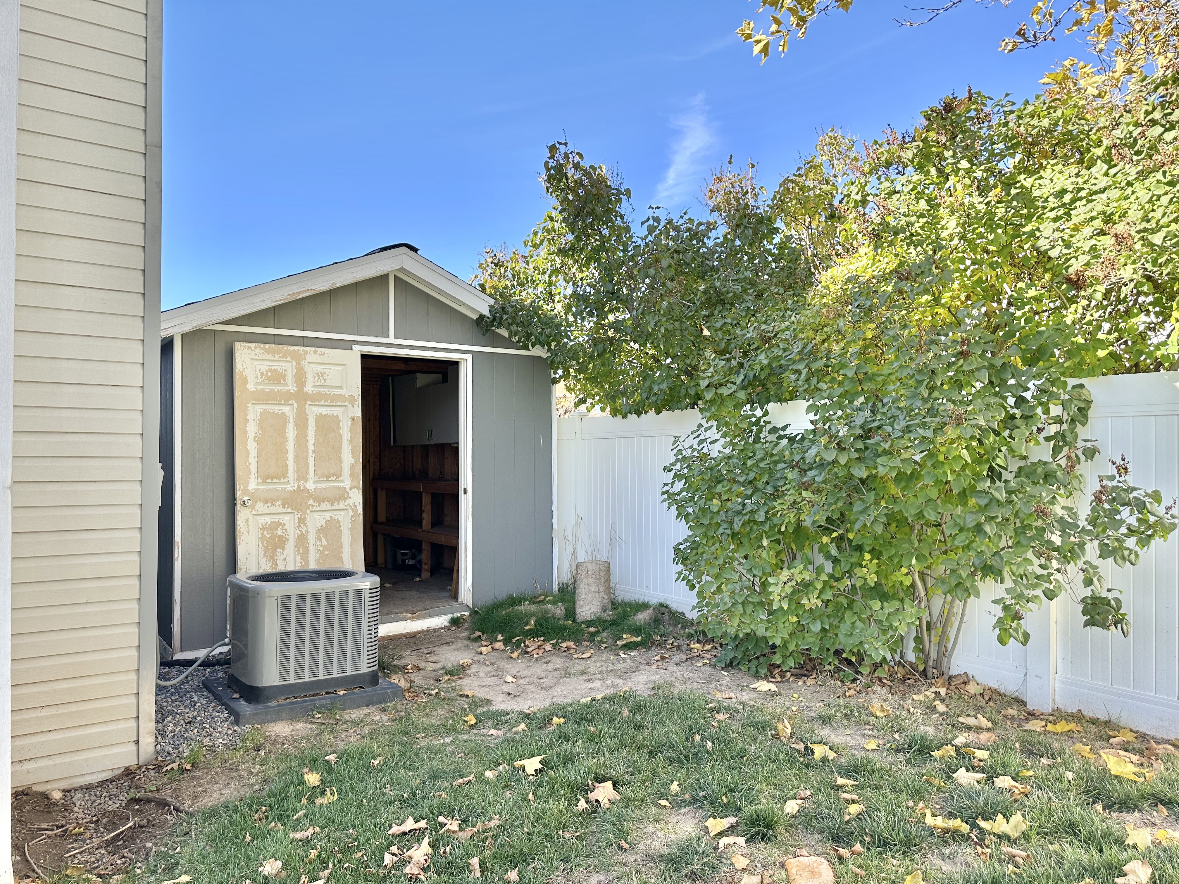 Shed