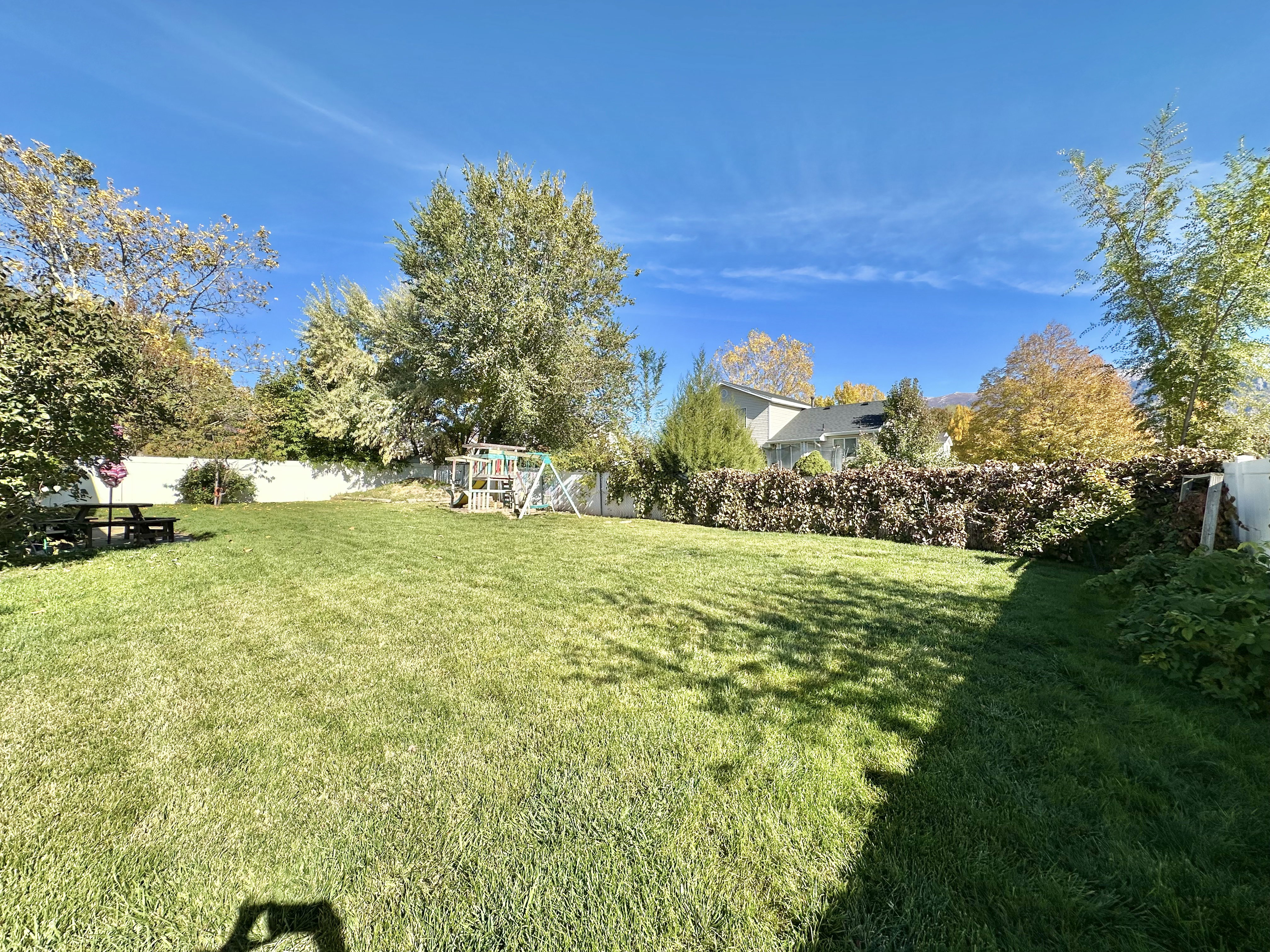 Backyard toward north east