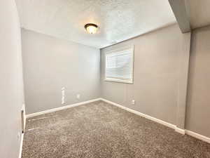 Bedroom or office/flex room with new carpet