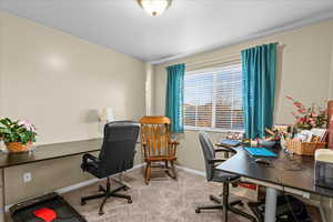 Office featuring light colored carpet and a textured ceiling