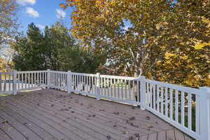 Wooden terrace with view of scattered trees
