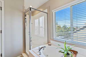 Full bath with a shower stall and a whirlpool tub