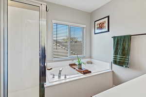 Full bathroom with a bath and a shower with door