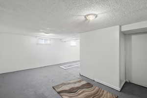 Basement featuring a textured ceiling