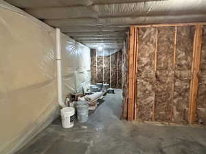 View of unfinished basement