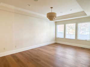 Unfurnished room with a raised ceiling and light wood finished floors