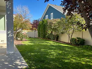 View of fenced backyard