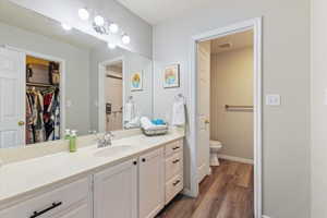 Full bath with vanity, dark wood-style flooring, and a spacious closet