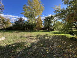 View of backyard