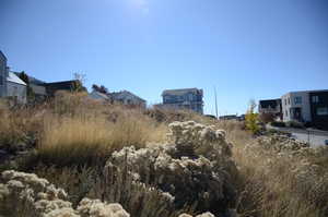 View of yard with a residential view