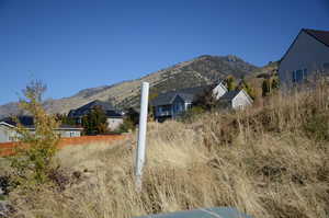 View of mountain background
