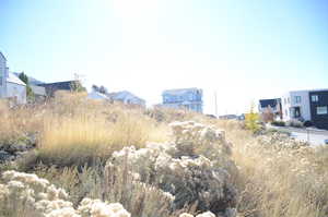 View of yard featuring a residential view