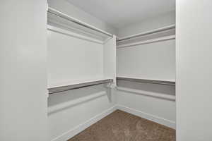 Spacious closet featuring dark carpet