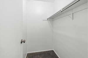 Spacious closet featuring carpet floors