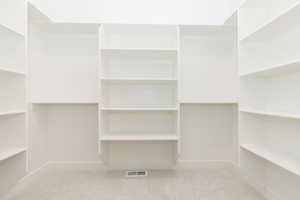 primary Spacious closet with light carpet