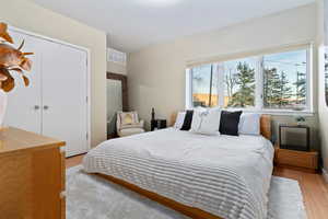 Bedroom featuring a closet and light wood-style floors