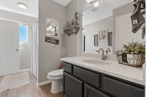 Full bathroom featuring light wood-style floors, vanity, and a shower with shower curtain