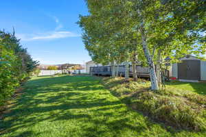 View of yard featuring a wooden deck and a shed