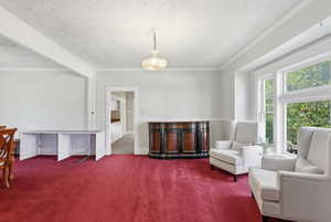 Sitting room with carpet flooring, a textured ceiling, and ornamental molding