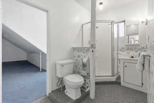 Full bathroom featuring dark carpet, vanity, and a shower stall