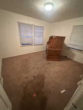 Carpeted bedroom with a textured ceiling