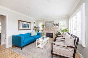 Living area featuring crown molding, light wood-type flooring, a fireplace, and recessed lighting