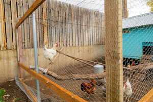 Exterior view of exterior structure