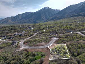 View of mountain background - approximate lot lines shown