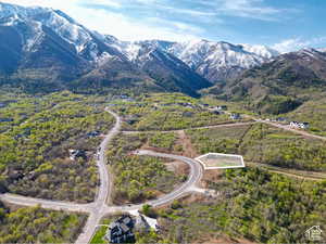 View of mountain background - approximate lot lines shown