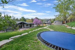 View of yard with a patio, a trampoline, and a shed