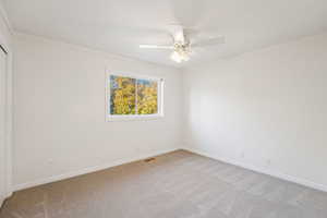 Carpeted empty room featuring crown molding and a ceiling fan