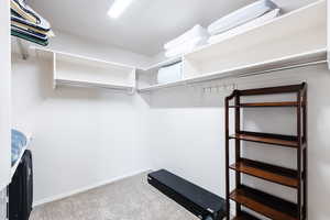 Walk in closet with carpet floors